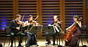 Picture, The Carducci Quartet